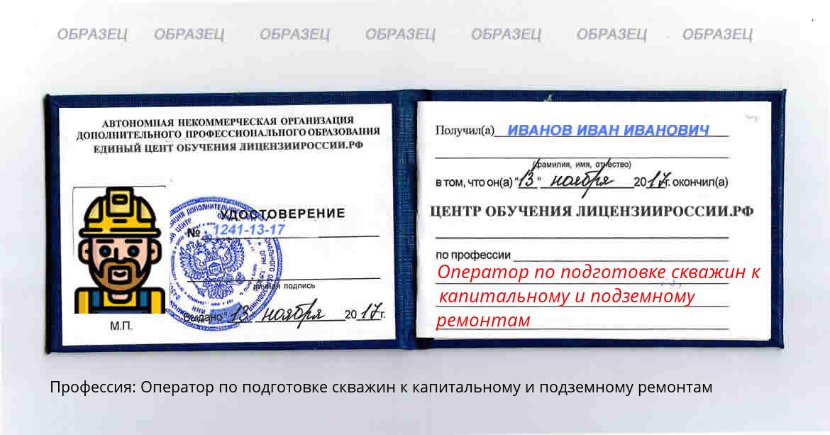 Оператор по подготовке скважин к капитальному и подземному ремонтам Николаевск-на-Амуре